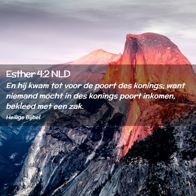 Picture 02 - Esther 4:2 NLD - En hij kwam tot voor de poort des konings; want - Bible Verse Picture
