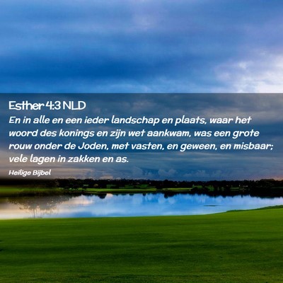 Picture 02 - Esther 4:3 NLD - En in alle en een ieder landschap en plaats, waar - Bible Verse Picture