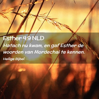 Picture 02 - Esther 4:9 NLD - Hatach nu kwam, en gaf Esther de woorden van - Bible Verse Picture