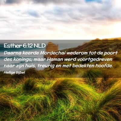Picture 02 - Esther 6:12 NLD - Daarna keerde Mordechai wederom tot de poort des - Bible Verse Picture