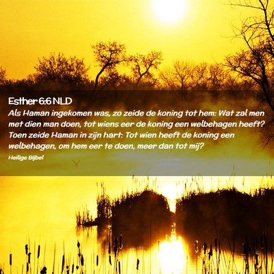 Picture 02 - Esther 6:6 NLD - Als Haman ingekomen was, zo zeide de koning tot - Bible Verse Picture