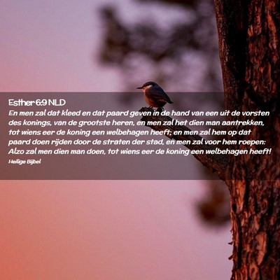 Picture 02 - Esther 6:9 NLD - En men zal dat kleed en dat paard geven in de - Bible Verse Picture