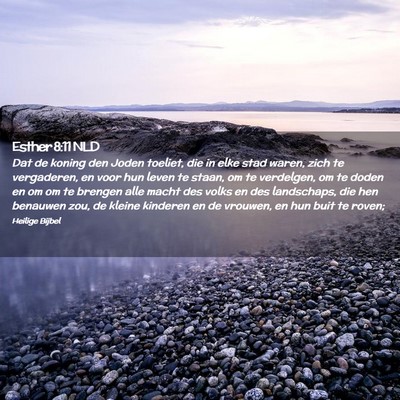 Picture 02 - Esther 8:11 NLD - Dat de koning den Joden toeliet, die in elke stad - Bible Verse Picture