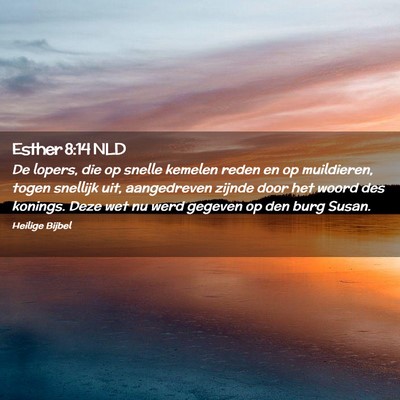 Picture 02 - Esther 8:14 NLD - De lopers, die op snelle kemelen reden en op - Bible Verse Picture