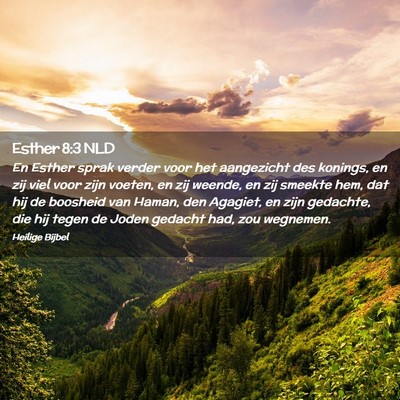 Picture 02 - Esther 8:3 NLD - En Esther sprak verder voor het aangezicht des - Bible Verse Picture
