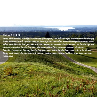 Picture 02 - Esther 8:9 NLD - Toen werden des konings schrijvers geroepen, ter - Bible Verse Picture