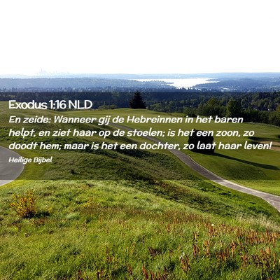 Picture 02 - Exodus 1:16 NLD - En zeide: Wanneer gij de Hebreinnen in het baren - Bible Verse Picture