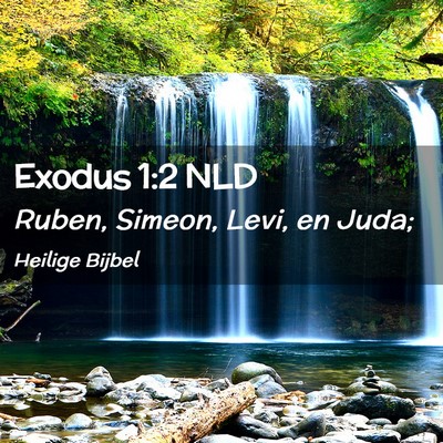 Picture 02 - Exodus 1:2 NLD - Ruben, Simeon, Levi, en - Bible Verse Picture