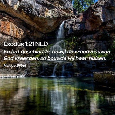 Picture 02 - Exodus 1:21 NLD - En het geschiedde, dewijl de vroedvrouwen God - Bible Verse Picture