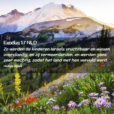 Picture 02 - Exodus 1:7 NLD - Zo werden de kinderen Israels vruchtbaar en - Bible Verse Picture