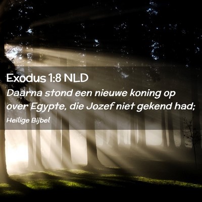 Picture 02 - Exodus 1:8 NLD - Daarna stond een nieuwe koning op over Egypte, - Bible Verse Picture