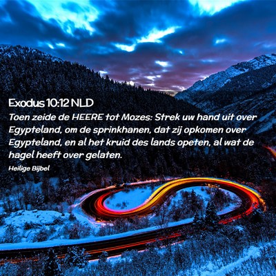 Picture 02 - Exodus 10:12 NLD - Toen zeide de HEERE tot Mozes: Strek uw hand uit - Bible Verse Picture