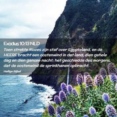 Picture 02 - Exodus 10:13 NLD - Toen strekte Mozes zijn staf over Egypteland, en - Bible Verse Picture