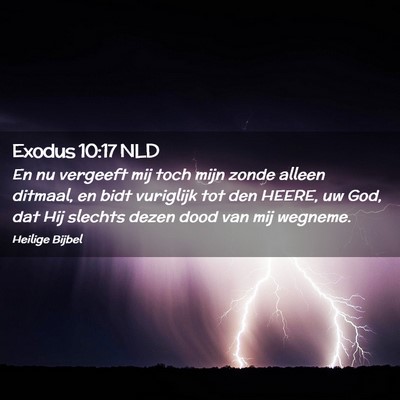 Picture 02 - Exodus 10:17 NLD - En nu vergeeft mij toch mijn zonde alleen - Bible Verse Picture
