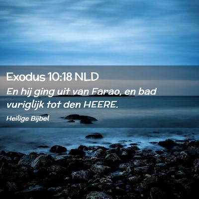Picture 02 - Exodus 10:18 NLD - En hij ging uit van Farao, en bad vuriglijk tot - Bible Verse Picture