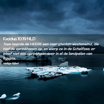 Picture 02 - Exodus 10:19 NLD - Toen keerde de HEERE een zeer sterken westenwind, - Bible Verse Picture