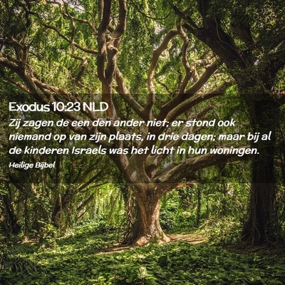 Picture 02 - Exodus 10:23 NLD - Zij zagen de een den ander niet; er stond ook - Bible Verse Picture