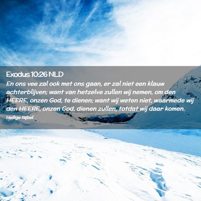 Picture 02 - Exodus 10:26 NLD - En ons vee zal ook met ons gaan, er zal niet een - Bible Verse Picture