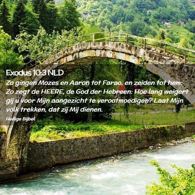 Picture 02 - Exodus 10:3 NLD - Zo gingen Mozes en Aaron tot Farao, en zeiden tot - Bible Verse Picture