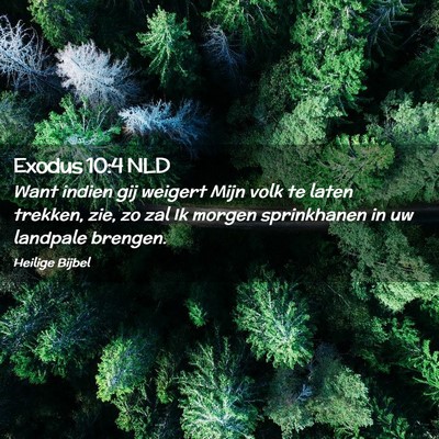 Picture 02 - Exodus 10:4 NLD - Want indien gij weigert Mijn volk te laten - Bible Verse Picture