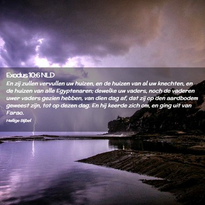 Picture 02 - Exodus 10:6 NLD - En zij zullen vervullen uw huizen, en de huizen - Bible Verse Picture
