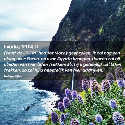 Picture 02 - Exodus 11:1 NLD - (Want de HEERE had tot Mozes gesproken: Ik zal - Bible Verse Picture