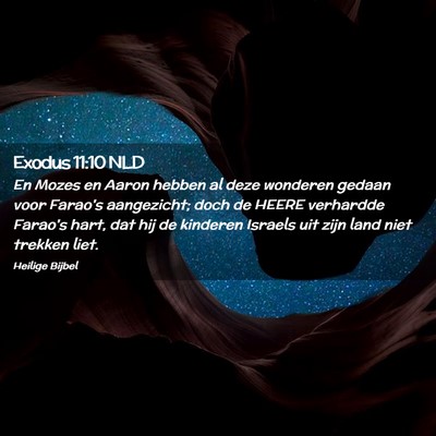 Picture 02 - Exodus 11:10 NLD - En Mozes en Aaron hebben al deze wonderen gedaan - Bible Verse Picture