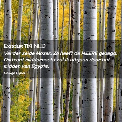 Picture 02 - Exodus 11:4 NLD - Verder zeide Mozes: Zo heeft de HEERE gezegd: - Bible Verse Picture