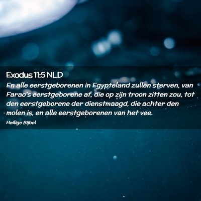 Picture 02 - Exodus 11:5 NLD - En alle eerstgeborenen in Egypteland zullen - Bible Verse Picture