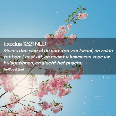 Picture 02 - Exodus 12:21 NLD - Mozes dan riep al de oudsten van Israel, en zeide - Bible Verse Picture