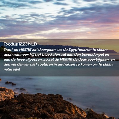 Picture 02 - Exodus 12:23 NLD - Want de HEERE zal doorgaan, om de Egyptenaren te - Bible Verse Picture