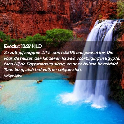 Picture 02 - Exodus 12:27 NLD - Zo zult gij zeggen: Dit is den HEERE een - Bible Verse Picture