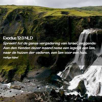 Picture 02 - Exodus 12:3 NLD - Spreekt tot de ganse vergadering van Israel, - Bible Verse Picture