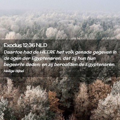 Picture 02 - Exodus 12:36 NLD - Daartoe had de HEERE het volk genade gegeven in - Bible Verse Picture