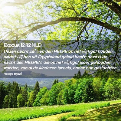 Picture 02 - Exodus 12:42 NLD - Dezen nacht zal men den HEERE op het vlijtigst - Bible Verse Picture