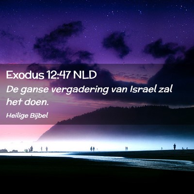 Picture 02 - Exodus 12:47 NLD - De ganse vergadering van Israel zal het - Bible Verse Picture
