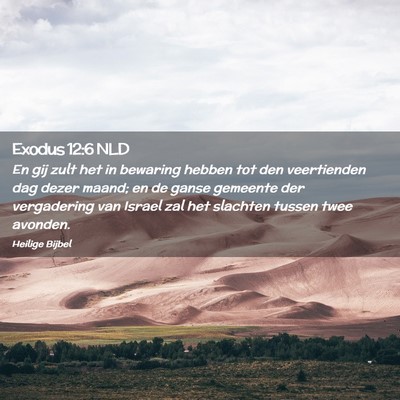Picture 02 - Exodus 12:6 NLD - En gij zult het in bewaring hebben tot den - Bible Verse Picture
