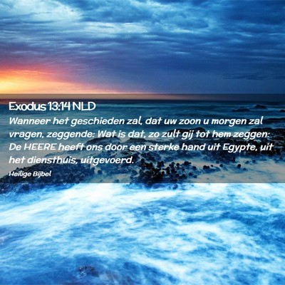 Picture 02 - Exodus 13:14 NLD - Wanneer het geschieden zal, dat uw zoon u morgen - Bible Verse Picture