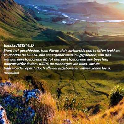Picture 02 - Exodus 13:15 NLD - Want het geschiedde, toen Farao zich verhardde - Bible Verse Picture