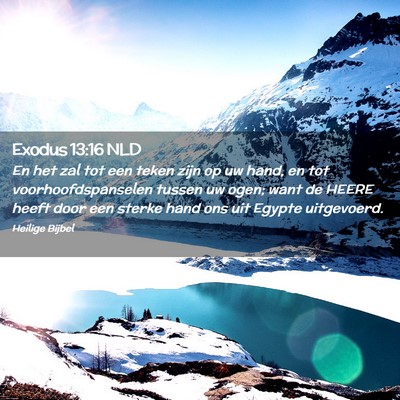 Picture 02 - Exodus 13:16 NLD - En het zal tot een teken zijn op uw hand, en tot - Bible Verse Picture