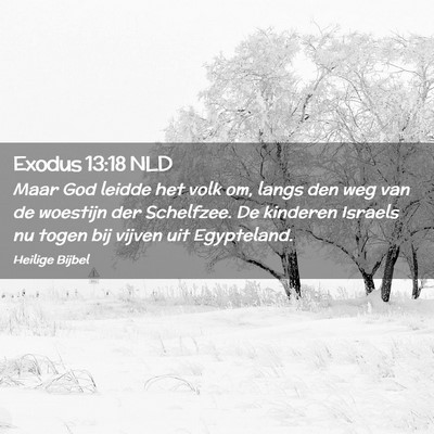 Picture 02 - Exodus 13:18 NLD - Maar God leidde het volk om, langs den weg van de - Bible Verse Picture