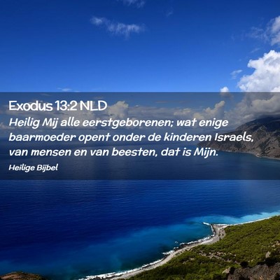 Picture 02 - Exodus 13:2 NLD - Heilig Mij alle eerstgeborenen; wat enige - Bible Verse Picture