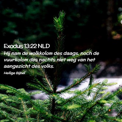 Picture 02 - Exodus 13:22 NLD - Hij nam de wolkkolom des daags, noch de vuurkolom - Bible Verse Picture