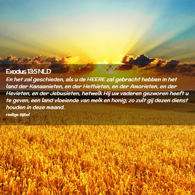 Picture 02 - Exodus 13:5 NLD - En het zal geschieden, als u de HEERE zal - Bible Verse Picture