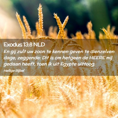 Picture 02 - Exodus 13:8 NLD - En gij zult uw zoon te kennen geven te dienzelven - Bible Verse Picture