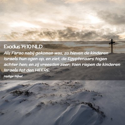 Picture 02 - Exodus 14:10 NLD - Als Farao nabij gekomen was, zo hieven de - Bible Verse Picture