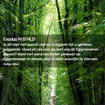 Picture 02 - Exodus 14:12 NLD - Is dit niet het woord, dat wij in Egypte tot u - Bible Verse Picture