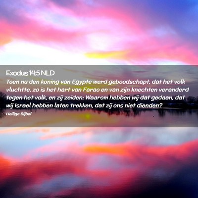 Picture 02 - Exodus 14:5 NLD - Toen nu den koning van Egypte werd geboodschapt, - Bible Verse Picture