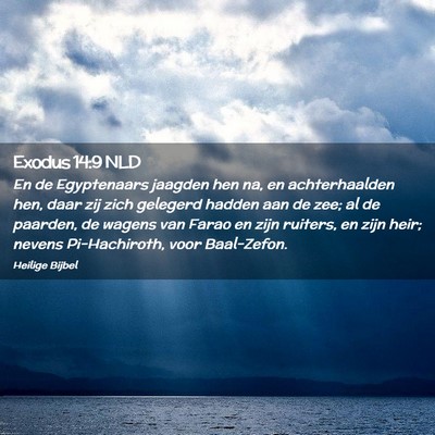 Picture 02 - Exodus 14:9 NLD - En de Egyptenaars jaagden hen na, en - Bible Verse Picture