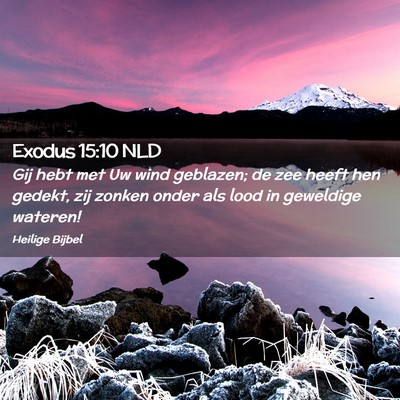 Picture 02 - Exodus 15:10 NLD - Gij hebt met Uw wind geblazen; de zee heeft hen - Bible Verse Picture
